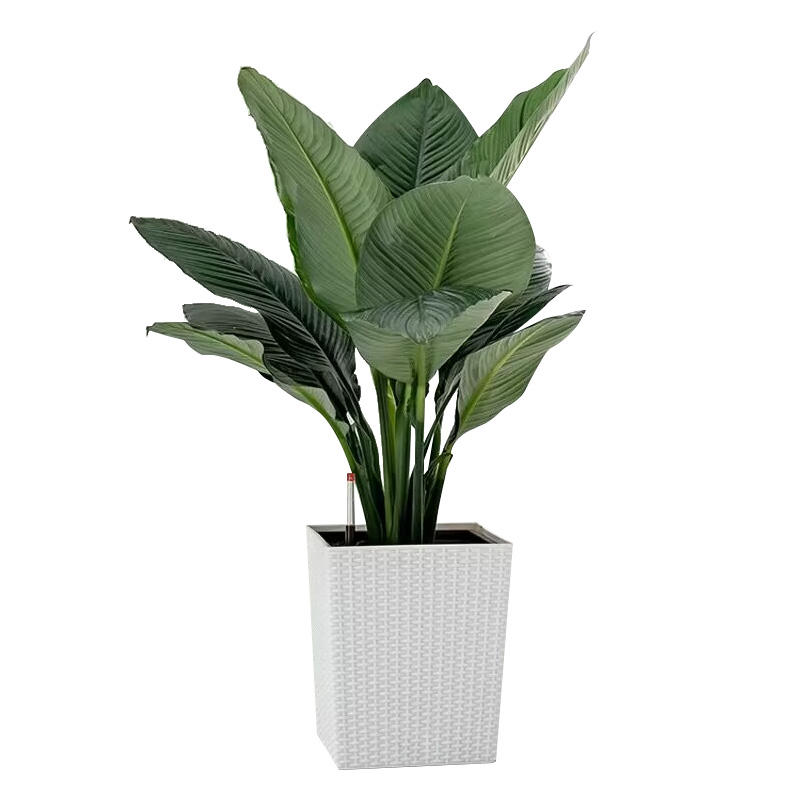 Model 6001 garden square rattan flower pot